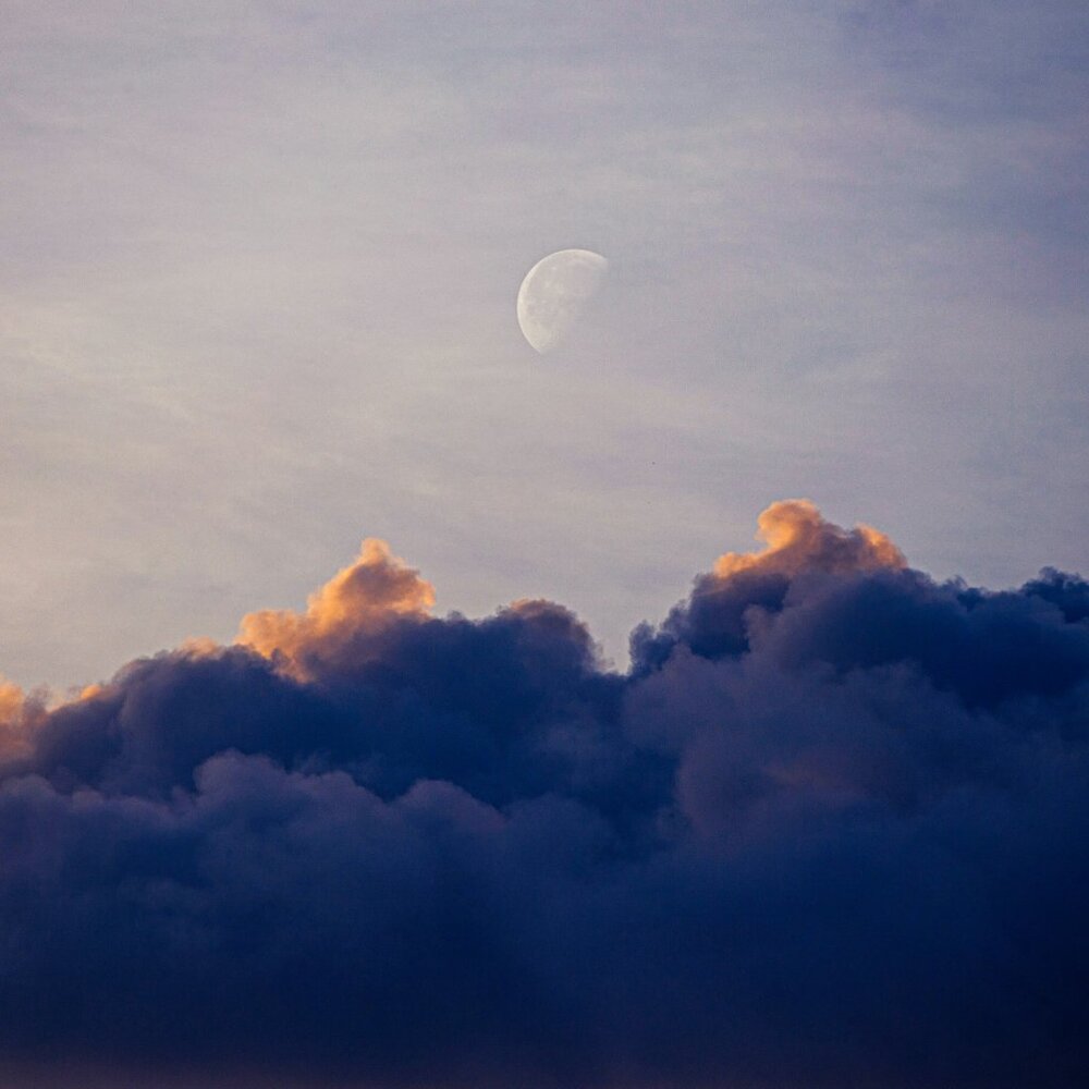 Meet your Posher, Vicki